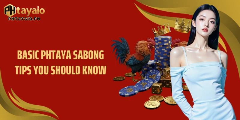 Basic Phtaya sabong tips you should know