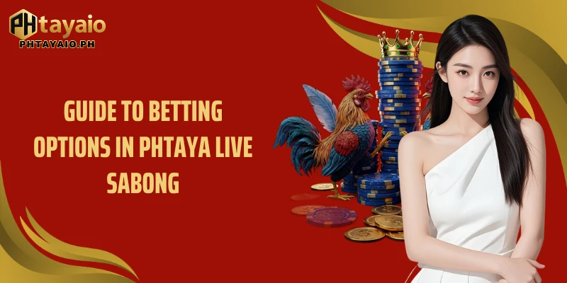 Guide to betting options in Phtaya Live Sabong