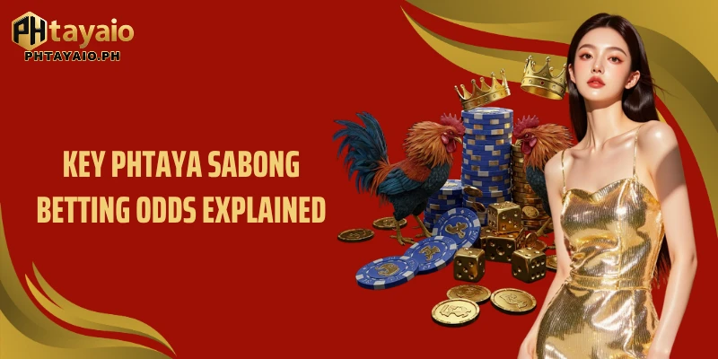 Key Phtaya sabong betting odds explained