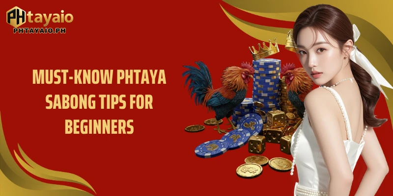 Must-know Phtaya sabong tips for beginners