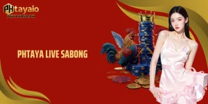 Phtaya Live Sabong - Experience Real-Time Cockfighting Thrills