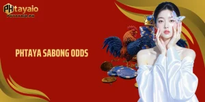 Phtaya Sabong Odds: Insider Secrets to Outsmart the Betting Ring 