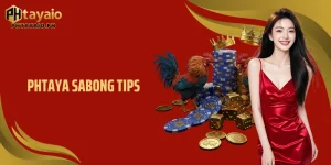 Phtaya Sabong Tips: Proven Strategies To Increase Winning Odds 
