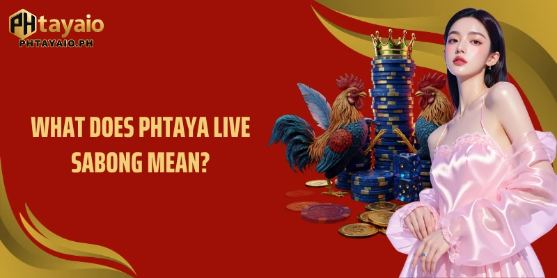 What does Phtaya Live sabong mean?