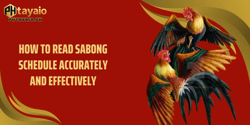 How to read Sabong Schedule accurately and effectively