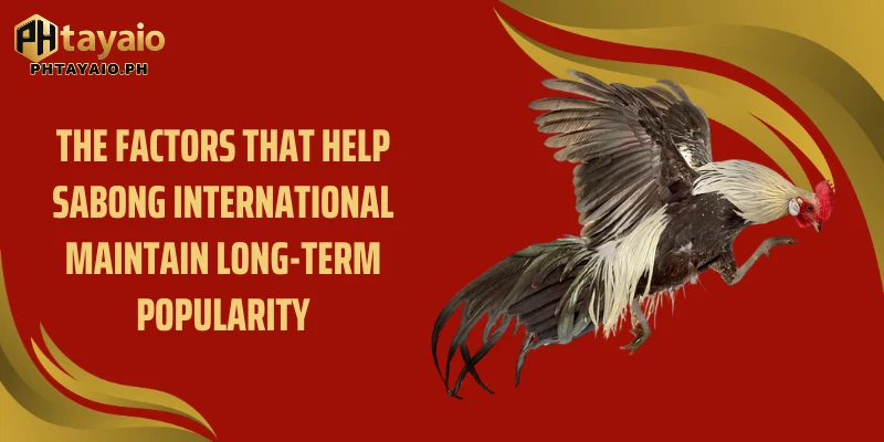The factors that help Sabong International maintain long-term popularity