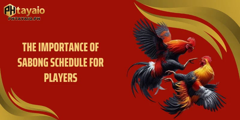 The importance of Sabong Schedule for players